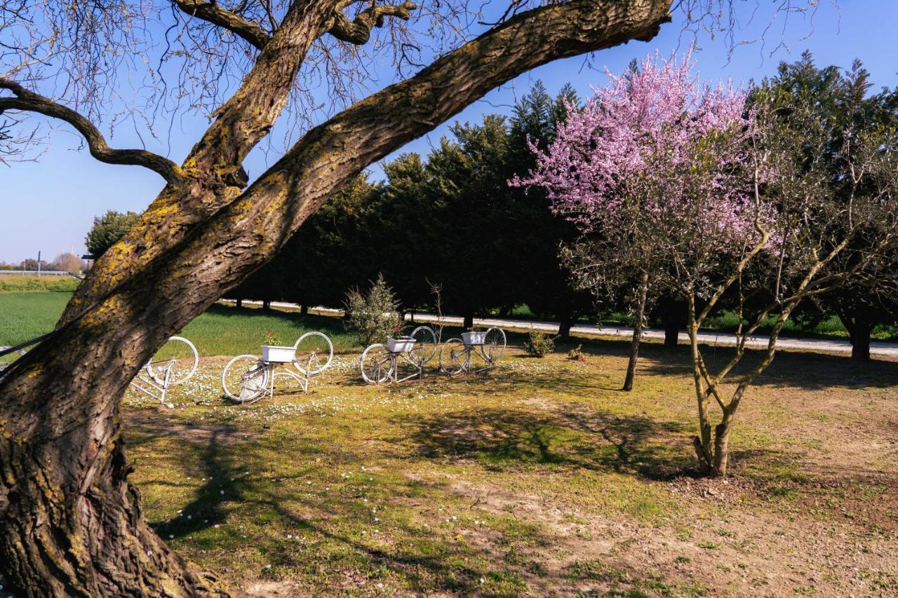 Il Giardino Di Rebecca Bed and Breakfast Φεράρα Εξωτερικό φωτογραφία